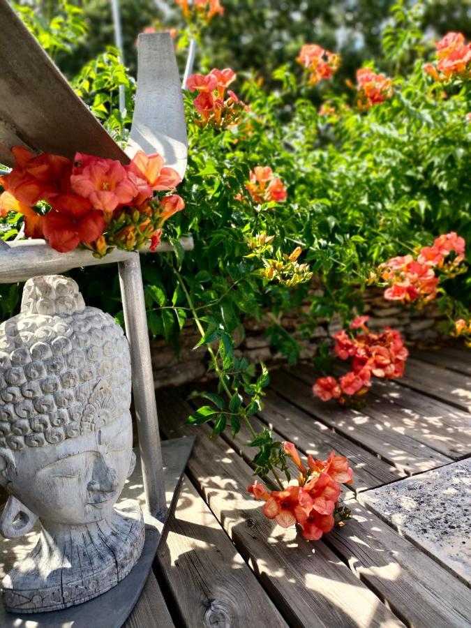 Villa Cabrida Cabrières-dʼAvignon 외부 사진